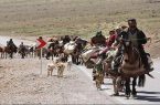 کوچ عشایر به مناطق قشلاقی غرب استان کرمانشاه آغاز شد