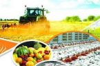 تشکیل اولین اتحادیه صنفی باغبانی کشاورزی در قصرشیرین