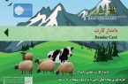 دامداران کرمانشاهی صاحب “دامدار کارت” می‌شوند