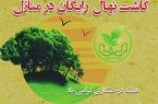 ثبت‌نام ۲۰۰۰ متقاضی در طرح کاشت نهال رایگان میوه در منازل