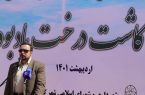 حفظ محیط زیست اولویت سیستم مدیریت شهری است
