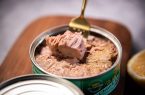 اگر زیاد تن ماهی بخوریم چه اتفاقی در بدنمان می‌افتد؟