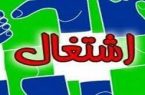 ثبت ۳۰ هزار شغل جدید در سامانه رصد