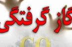 گاز مونواکسید ۱۲ نفر را راهی بیمارستان کرد