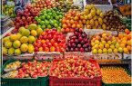 میوه شب عید ۱۰ روز آینده وارد بازار می شود