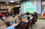 برگزاری نشست کارگروه تهیه تیپ قراردادها به روش تامین مالی توسط فروشنده در برق منطقه ای غرب