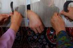 ۱۷۰ میلیارد تومان تسهیلات مشاغل خانگی به کرمانشاه ابلاغ شد