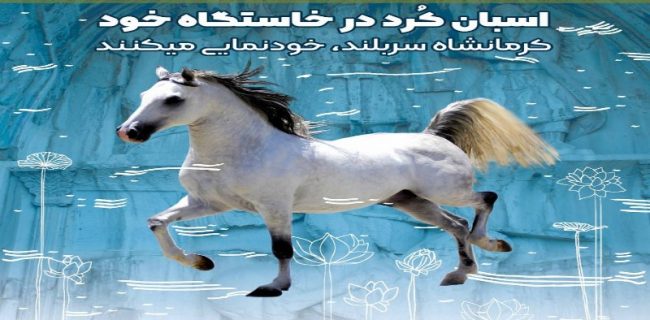 جشنواره «اسب اصیل کرد» در کرمانشاه برگزار می‌شود