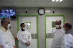انجام پیوند مغز استخوان اطفال از غیر برای اولین بار در کرمانشاه