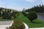 کاشت ۱۰۰ اصله درختچه در محوطه پایانه مرز خسروی
