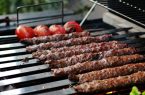 کار بسیار خوب دادستان ایلام در حمایت از بلوط های زاگرس/ پلمب همه کبابی‌های ذغالی یک استان به دستور دادستان