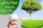 دریافت شناسنامه نوزاد در ایلام منوط به کاشت درخت شد