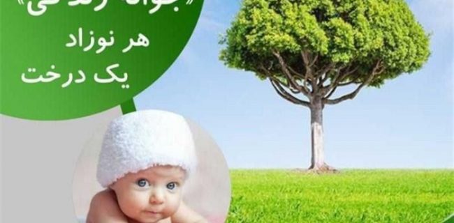 دریافت شناسنامه نوزاد در ایلام منوط به کاشت درخت شد