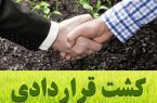 آغاز کشت قراردادی در کرمانشاه متناسب با شرایط اقلیمی منطقه