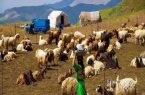 کوچ بهاره عشایر کرمانشاه آغاز شد