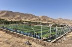 افتتاح زمین چمن مصنوعی روستای علی آباد بخش بیلوار کرمانشاه